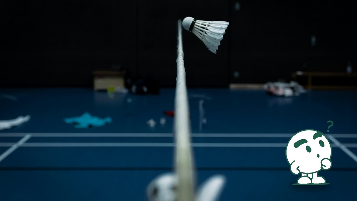 A shuttlecock resting on top of a badminton net, looking along the net.